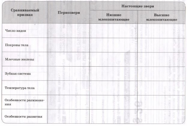 Задание рисунок 1