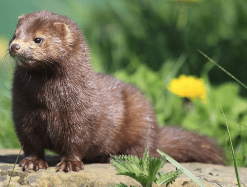 Решение рисунок 5