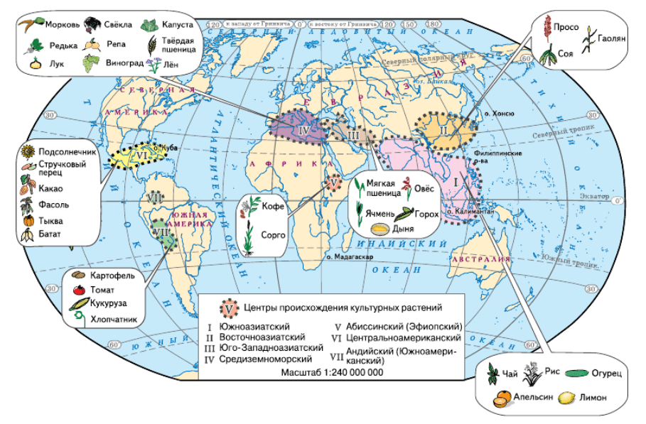 Задание рисунок 1