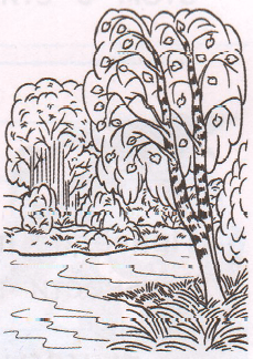 Задание рисунок 1