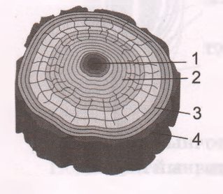 Задание рисунок 1