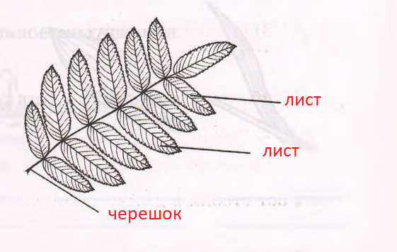 Решение рисунок 2