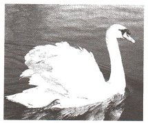 Задание рисунок 5